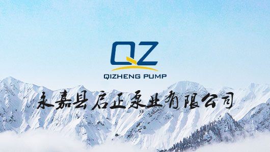 永嘉縣啟正泵業有限公司